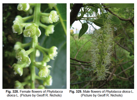 Fig 328&329 vol 11