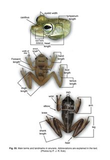 Figure 55.jpg