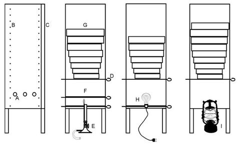 Fig 41 - Vol 10 Abc Taxa