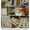 Figure 47: Preparing herbarium specimens