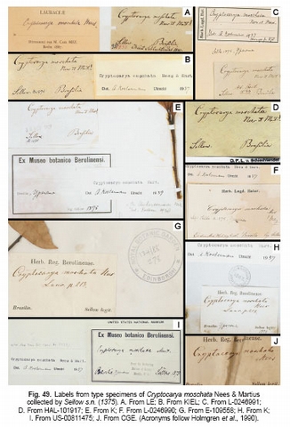 Fig. 49. Labels from type specimens of C. moschata