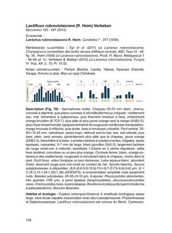 Vol 17 Abc Taxa - page 154