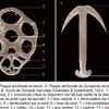 Taxonomic characters