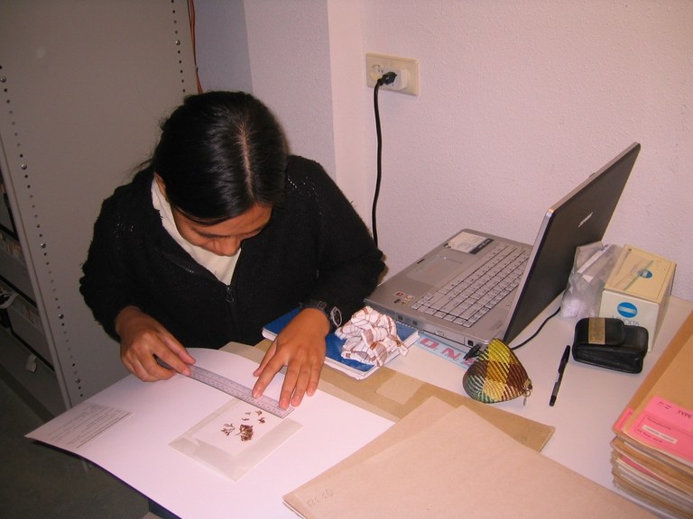 Examining herbarium specimens in Leiden Herbarium