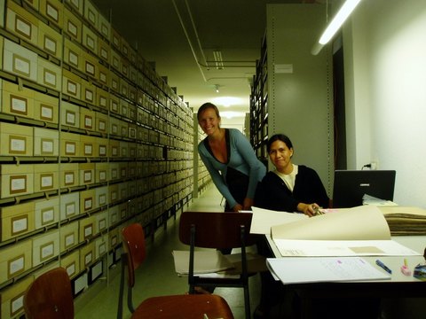 Examining herbarium specimens in Leiden Herbarium