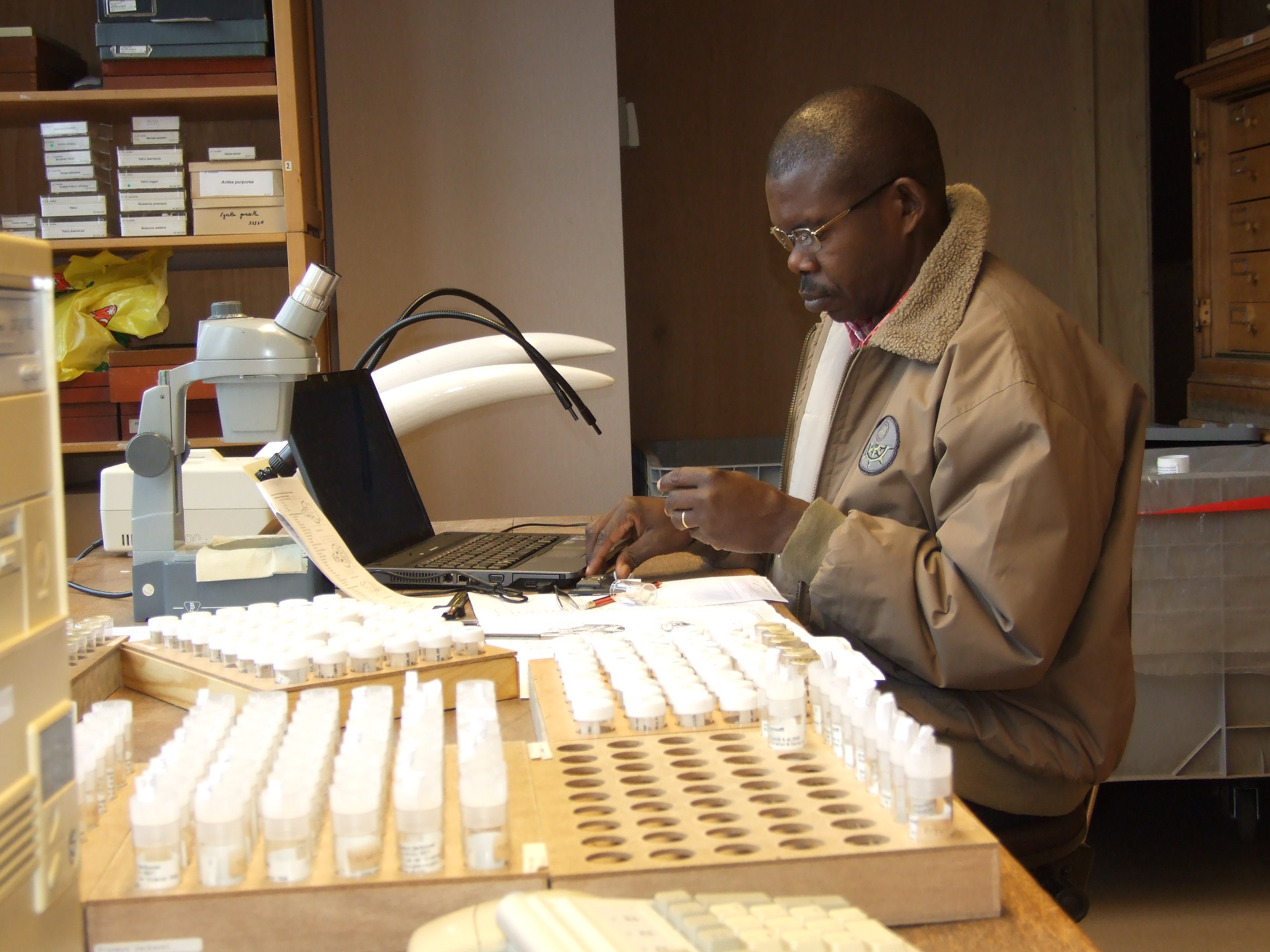 P. Kaleme in MRAC - measuring skulls