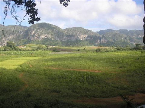 Cabarroi, Cuba