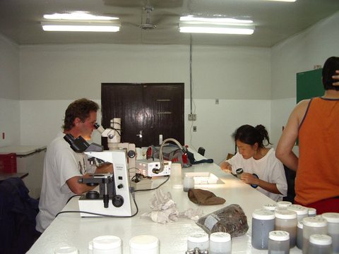 Lab in the field (Brazil)