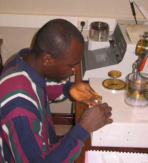NDri8.jpg