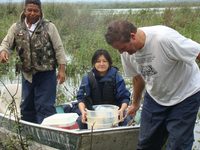 Sampling in Parana floodplain (Brazil)