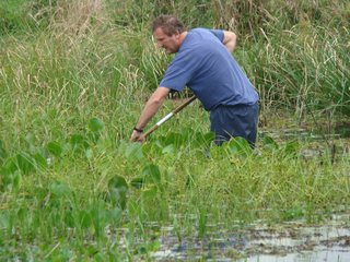 Sampling in Parana floodplain (Brazil)