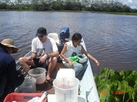 Sampling in Parana floodplain (Brazil)