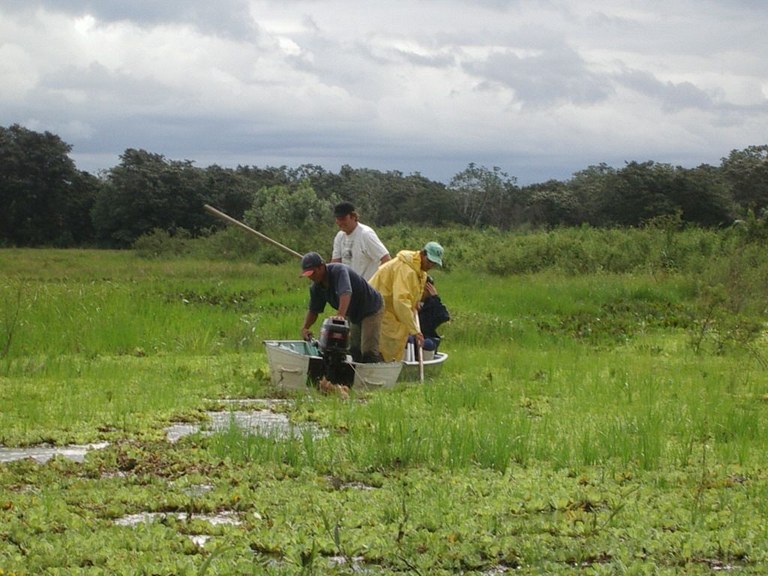 Sampling in Parana floodplain (Brazil)