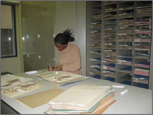 murielle-herbarium.jpg