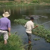 vietnam-sampling2-small.jpg