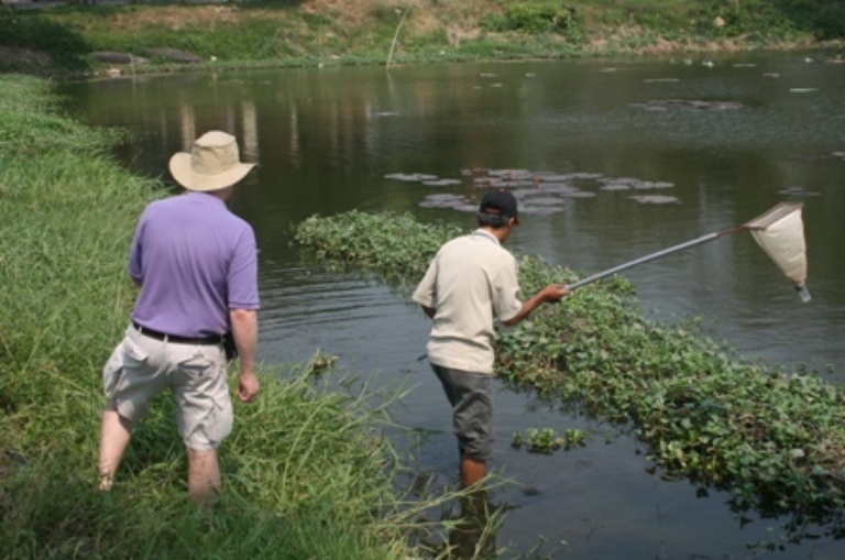 vietnam-sampling2-small.jpg