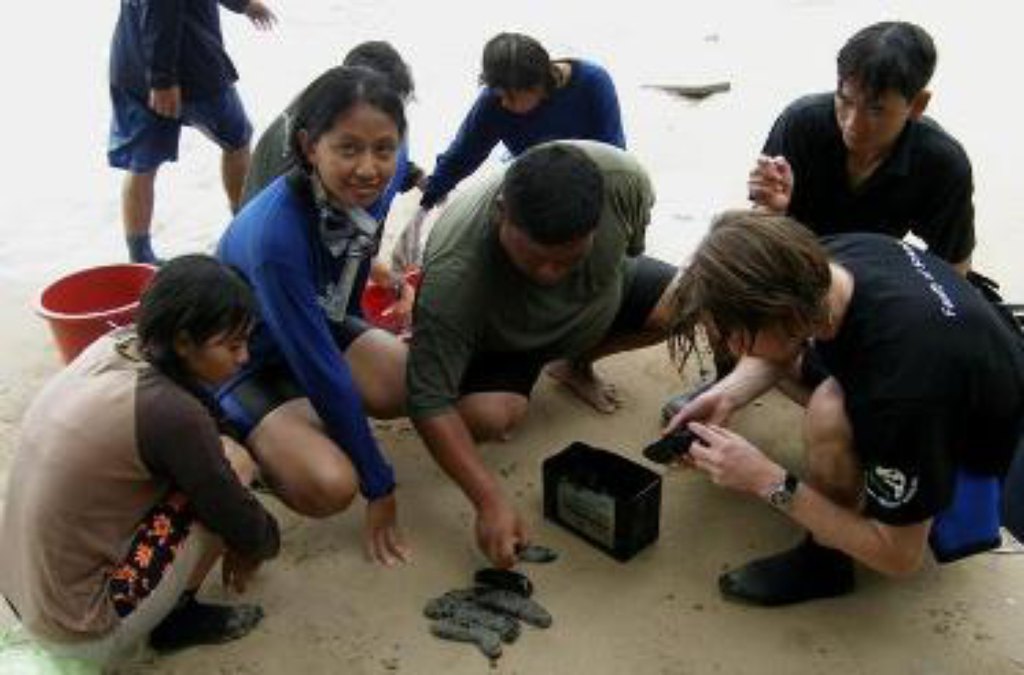 Taxonomic training - 2
